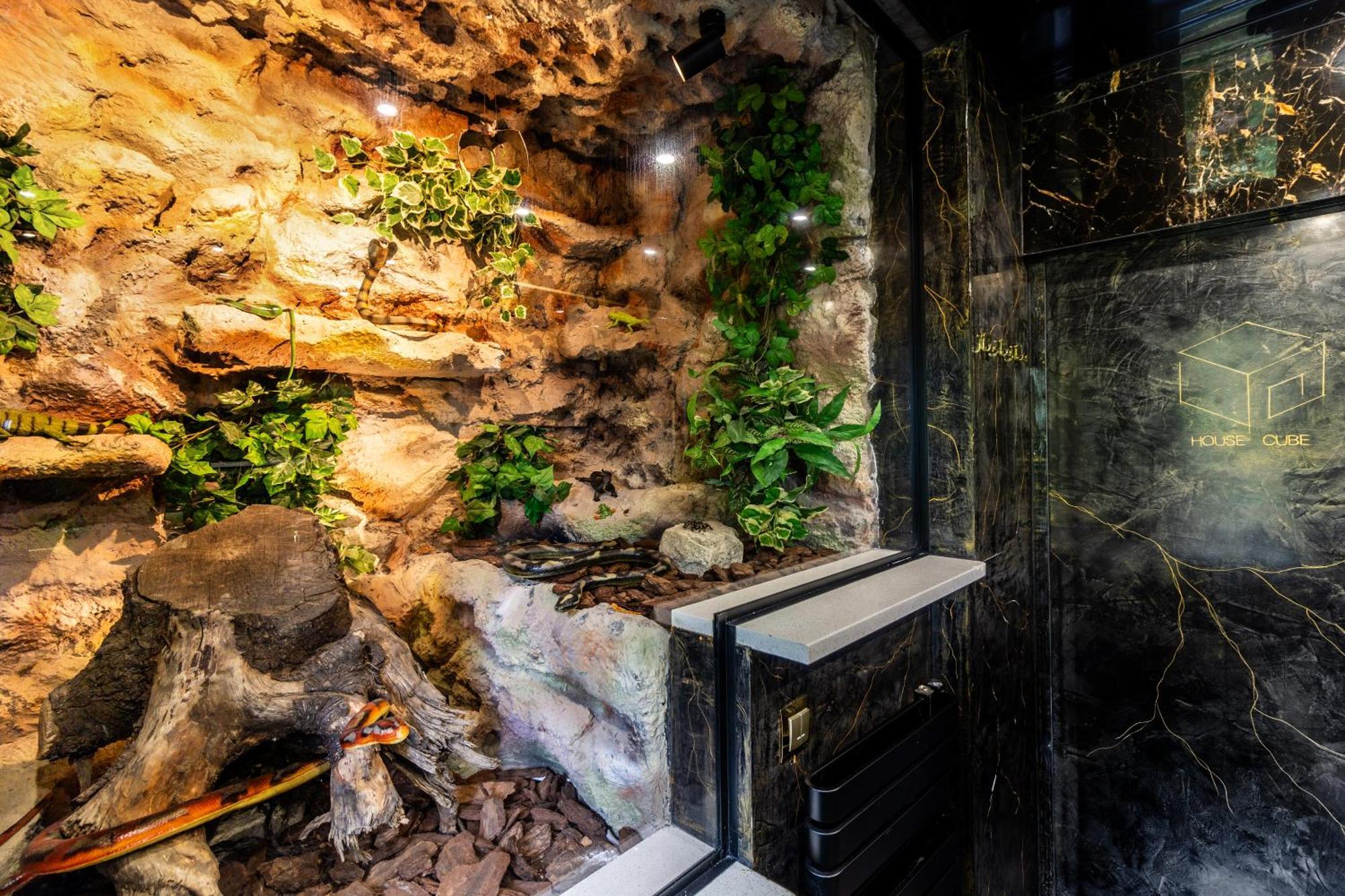Вілла Housecube, Bar , Prywatne Kino, Bilard , Luxus Вроцлав Екстер'єр фото